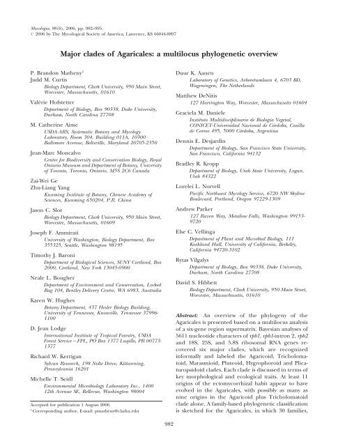 Major clades of Agaricales: a multilocus phylogenetic overview