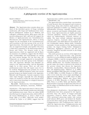 A phylogenetic overview of the Agaricomycotina - Mycologia