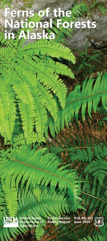 Ferns of the National Forests in Alaska Ferns - USDA Forest Service