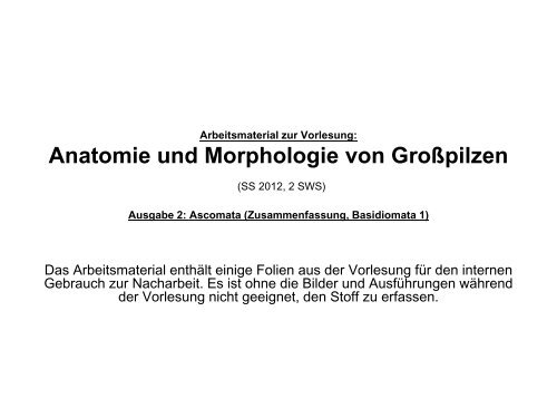 Anatomie und Morphologie von Großpilzen