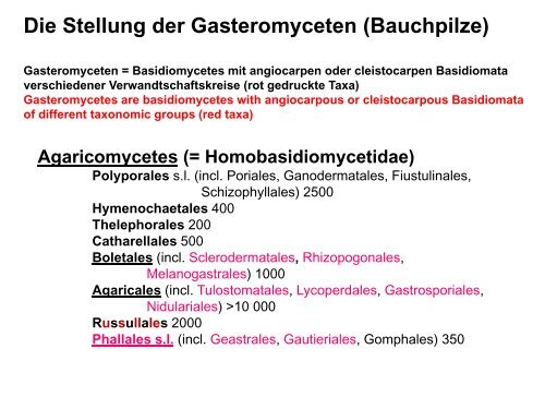 Anatomie und Morphologie von Großpilzen