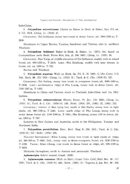 Enumeration of Thai Pteridophytes Collected during 1965-66