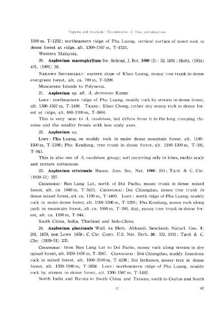 Enumeration of Thai Pteridophytes Collected during 1965-66