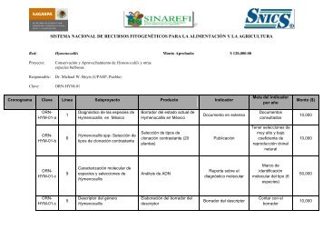 sistema nacional de recursos fitogenéticos para la ... - sinarefi