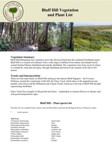 Bluff Hill Plant Species List Southland Community Nursery