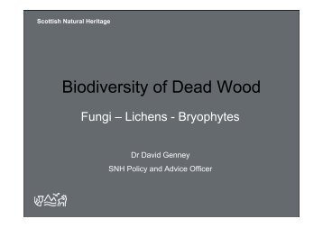 Deadwood as a habitat for mosses and liverworts - Scottish Natural ...