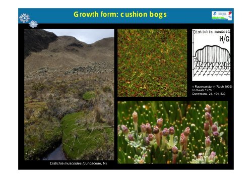 Growth form - Station Alpine Joseph Fourier