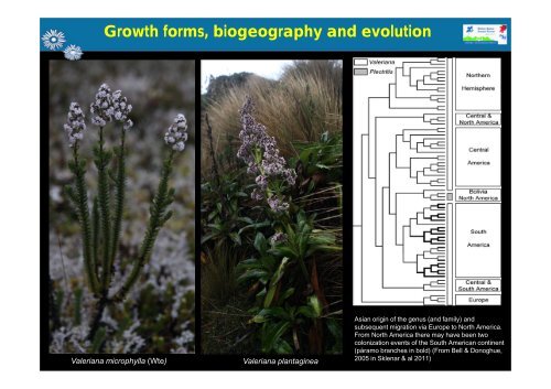 Growth form - Station Alpine Joseph Fourier