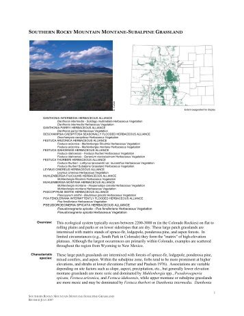 southern rocky mountain montane-subalpine grassland