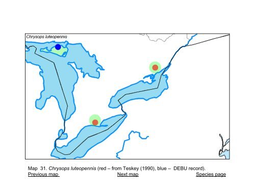 Tabanidae of Canada, east of the Rocky Mountains 1: a ...