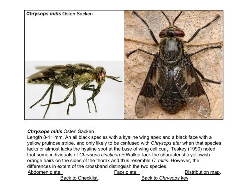 Tabanidae of Canada, east of the Rocky Mountains 1: a ...