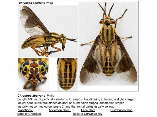 Tabanidae of Canada, east of the Rocky Mountains 1: a ...