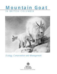 Mountain Goat for PDF.645U