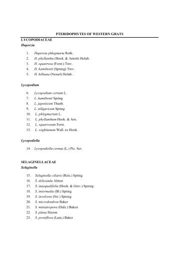 List of pteridophytes of Western Ghats