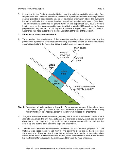 Analysis of the Durrand Glacier Avalanche Accident