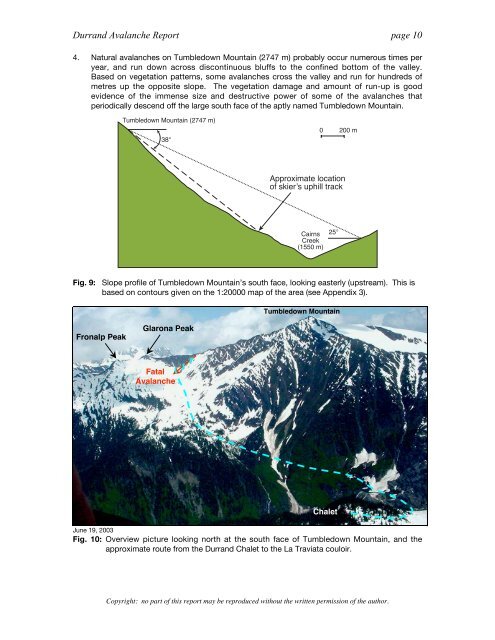 Analysis of the Durrand Glacier Avalanche Accident