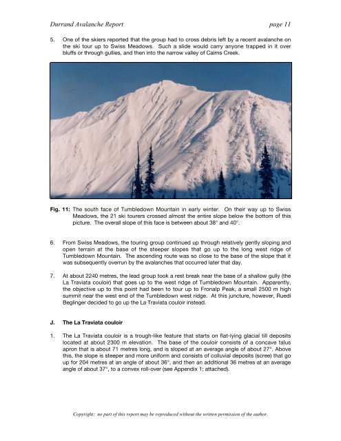 Analysis of the Durrand Glacier Avalanche Accident