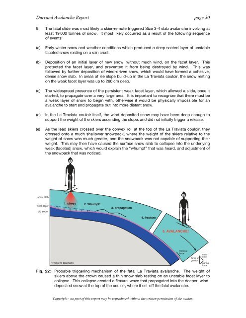 Analysis of the Durrand Glacier Avalanche Accident