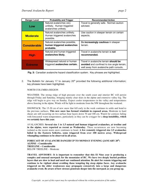 Analysis of the Durrand Glacier Avalanche Accident