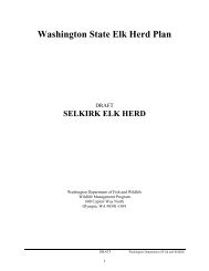 Selkirk Elk Herd - Washington Department of Fish & Wildlife