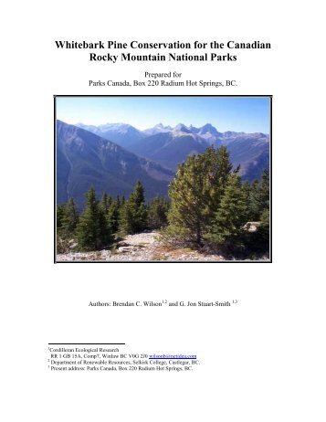 whitebark pine conservation for the canadian rocky mountain ...