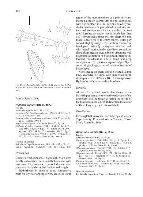 Hydroids (Cnidaria, Hydrozoa) of the Danish expedition to