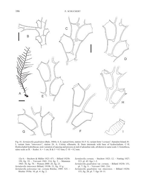 Hydroids (Cnidaria, Hydrozoa) of the Danish expedition to