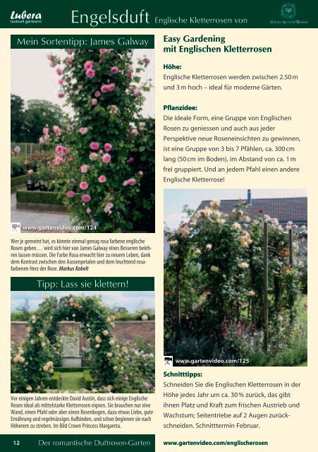 Katalog Rosen 2011 - Lubera