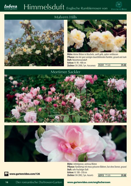 Katalog Rosen 2011 - Lubera