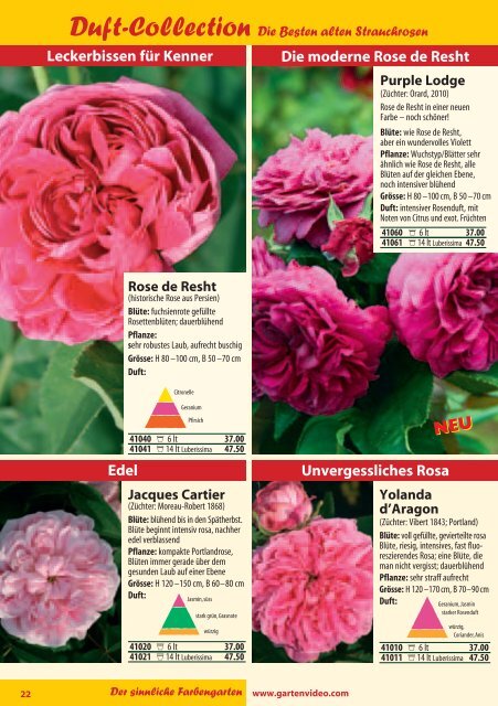Katalog Rosen 2011 - Lubera