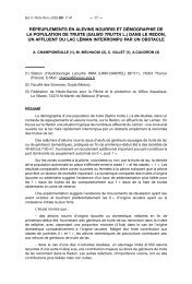 Repeuplement du Redon - Fédération de pêche de la Haute-Savoie