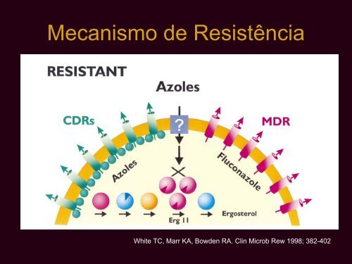 Infecções Fúngicas Invasivas: Resistência - AB Eventos