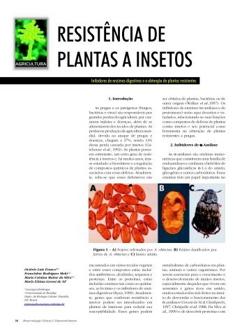 RESISTÊNCIA DE PLANTAS A INSETOS - Biotecnologia