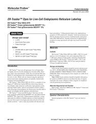 ER-Tracker Dyes for Live-Cell Endoplasmic Reticulum Labeling