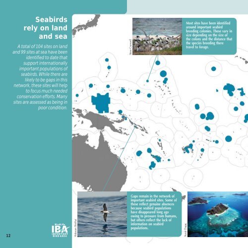 Pacific seabirds - BirdLife International