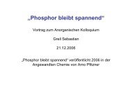 „Phosphor bleibt spannend“