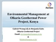 environmental management at olkaria geothermal project ... - BGR