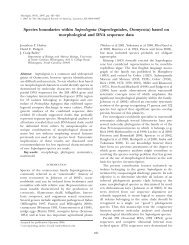 Species boundaries within Saprolegnia (Saprolegniales ... - Mycologia