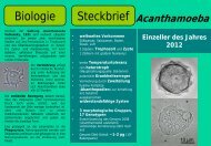 Einzeller des Jahres 2012