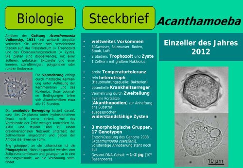 Einzeller des Jahres 2012