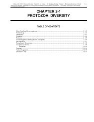 Chapter 2-1: Protozoa Diversity - Bryophyte Ecology - Michigan ...