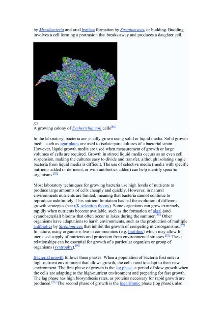 Amoeboid - Thierry Karsenti