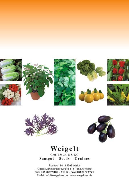 Katalog 2013/2014 (pdf-Datei, 30MB) - Weigelt & Co. Erfurter ...