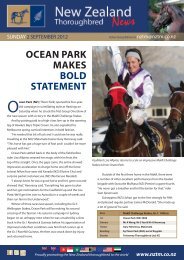 Ocean Park (NZ) - New Zealand Thoroughbred Marketing