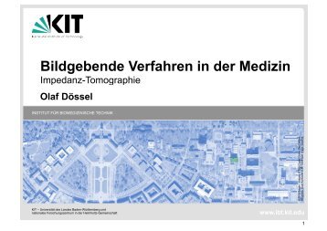Impedanztomographie - am Institut für Biomedizinische Technik - KIT