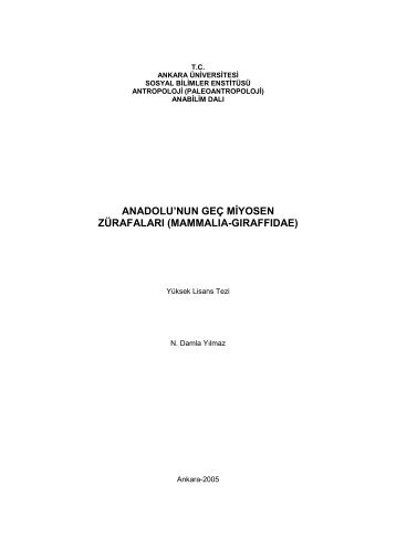 PDF Dosyayı açmak ve makaleyi okumak için tıkla