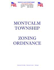 MONTCALM TOWNSHIP ZONING ORDINANCE - Montcalm County