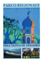 brochure parco dell'olivo - Ente Parco Regionale dell'Olivo di Venafro