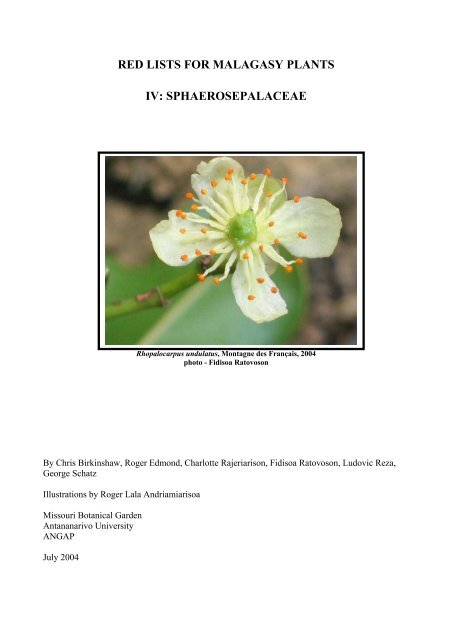 red lists for malagasy plants iv: sphaerosepalaceae - Missouri ...