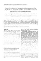 External morphology of the tadpoles of the Malagasy treefrog ...